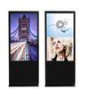 55 Inch Touch Screen Wall Mounted LCD Panel Ad Player 
